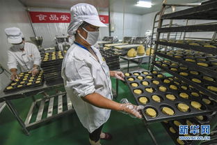 河北安平 高端食品机械制造受欢迎